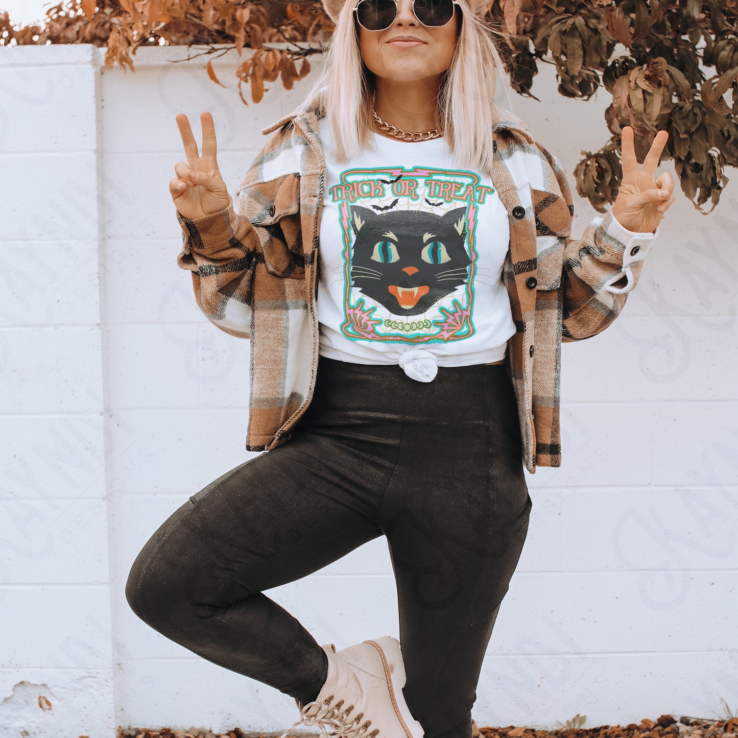 Trick or Treat Black Cat