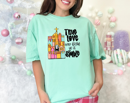 True Love Was Born In A Stable DTF TRANSFER