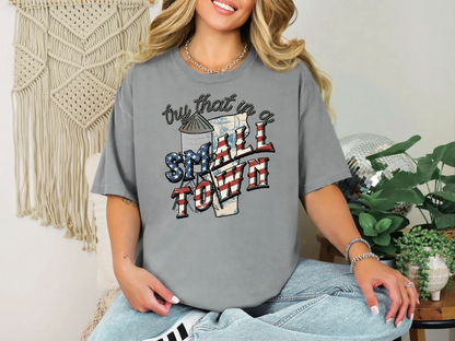 Try That In A Small Town Old States | 50 States + USA | DTF TRANSFER