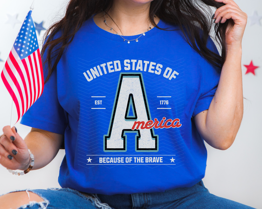 United States of America Because of the Brave DTF TRANSFER