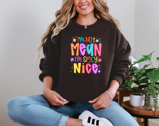 I'm Not Mean I'm Spicy Nice Neon DTF TRANSFER